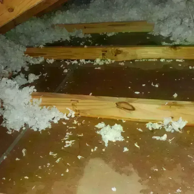 Attic Water Damage in Mount Airy, GA